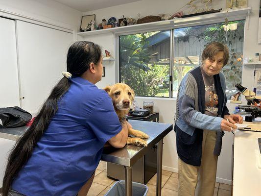 Kilauea Veterinary Services