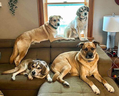 Compassionate Care Veterinary Hospital