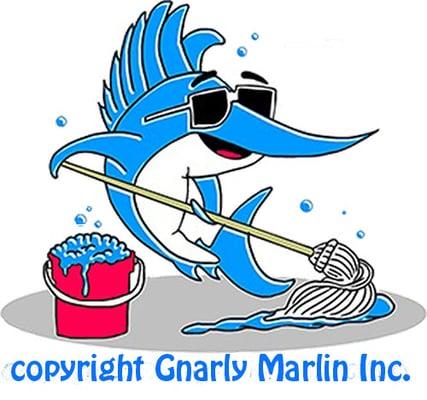 Domestic Cleaning Company