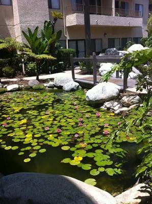 Renaissance At Pacific Inn