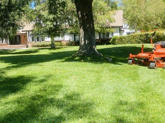 Maintaining the yard at MacMilan Ranch