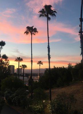 Pop Cautious Records