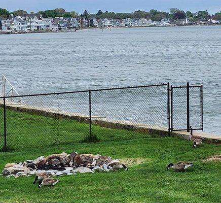 View from the rear patio