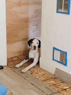 JJ's Carpet and Flooring