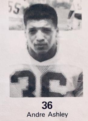 Total Training Fitness