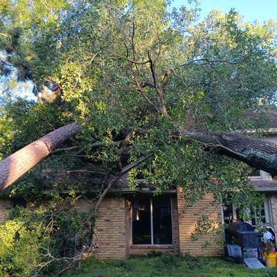 Zuniga Remodeling & Paint