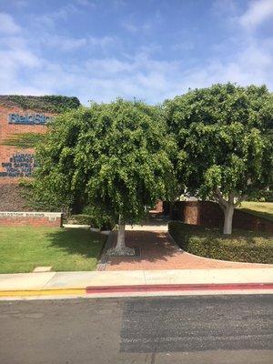 Gilda Gilak Chiropractic Care