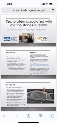 Lone Mountain Animal Hospital