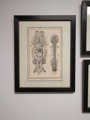 Tri-State Mountain Neurology Associates