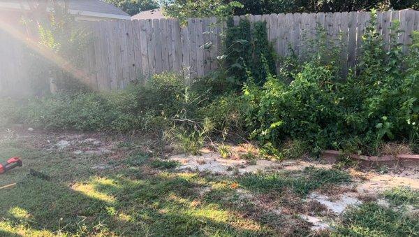 Amore’s Landscaping