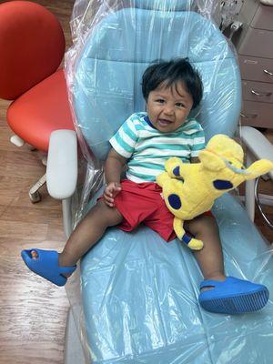 Little Koala Pediatric Dentistry