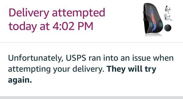 False statement... I was home at this time and nobody knocked or rang at my door... unfortunately, very typical for USPS in Tally....