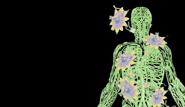 Emily Sweeney Bodywork