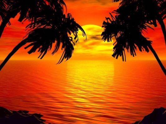 Essence Of Tea Tree Massage Spa