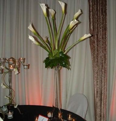 Eva's Macomb Renting And Decoration