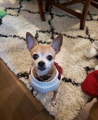 Alder Creek Veterinary