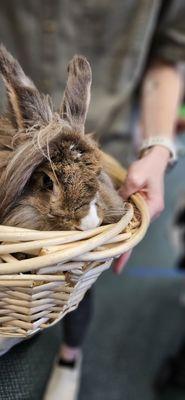 Rancho Santa Fe Book Cellar