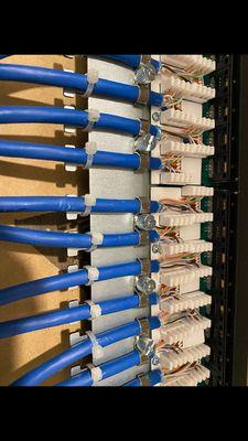 Cat 6 data wiring punched down in structured wiring panel