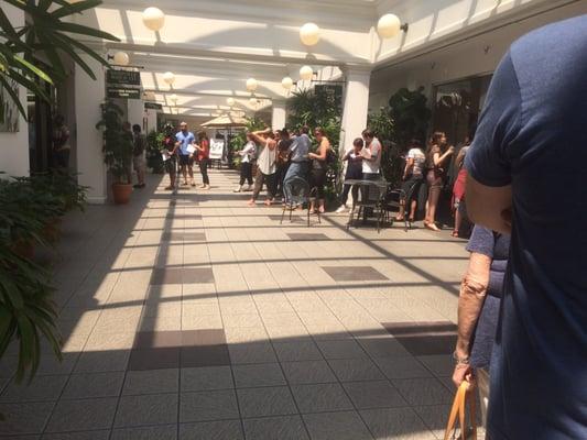 Long line! Holiday weekend #36
