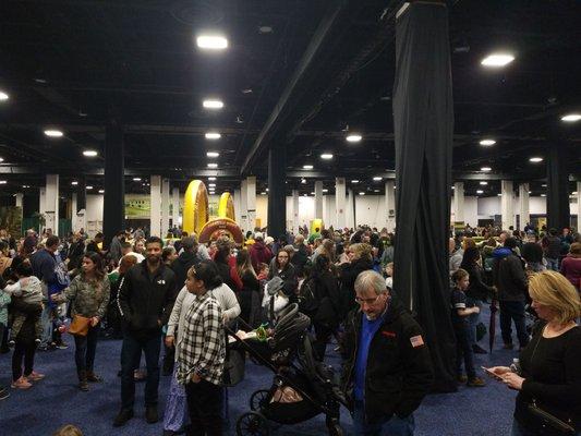 Discover the Dinosaurs