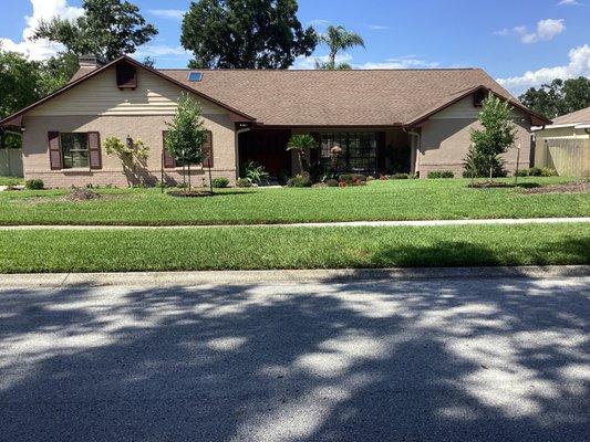 Plant City Tree Farm