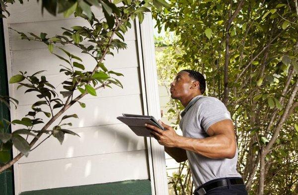 Catch Everything Inspections