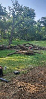 Juanlopeztreeservice@yahoo.com 630 8855701