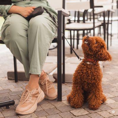 The Village at Town Center Apartments