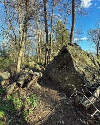 Kirkwood Preserve