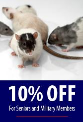 Seay's Termite & Pest Control