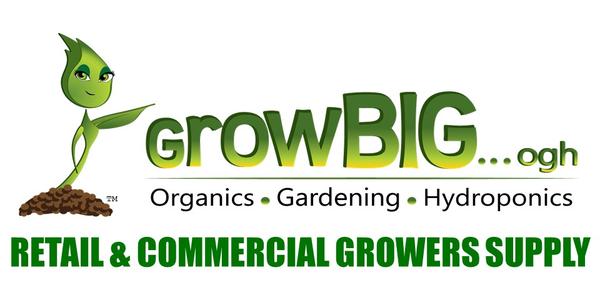 GrowBIG Logo
