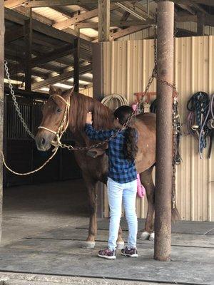 Davalos Health Services