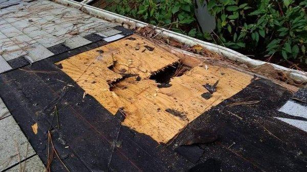 Fixing tree limb damage on a roof