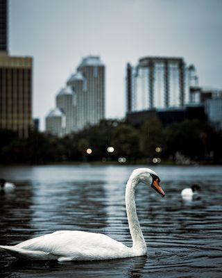 AC Video Productions