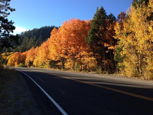 Tahoe Mortgage Center has served both locals and 2nd home owners in Tahoe and throughout California for 25 years.