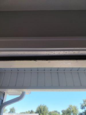 Woodland Custom Home Builders