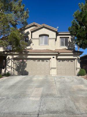 Flores Precision Painting