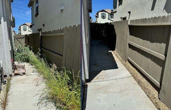 Get it Done yard cleanups