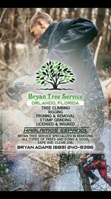 Bryan Tree Service