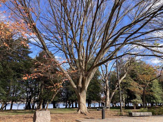 Franklin Delano Roosevelt Memorial