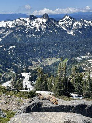 Panorama Point Overlook