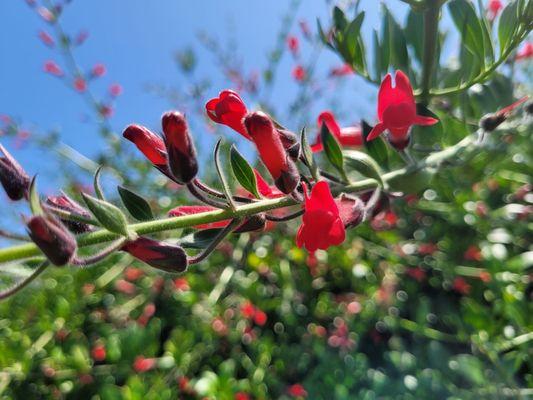 Jack Dunster Marine Reserve