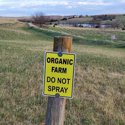 Orsi Nursery & Fruit