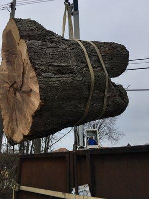 Our Family Tree Service