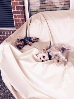 Concrete Solutions Macomb County 44648 Mound Rd #194 Sterling Heights, MI 48314 (586)200-1752