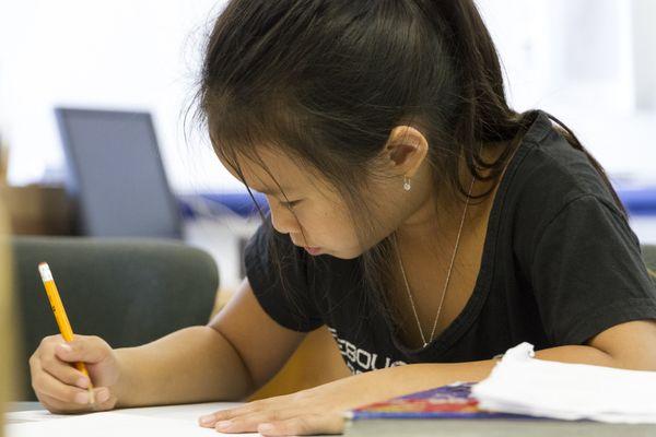 Stellar Learning Academy