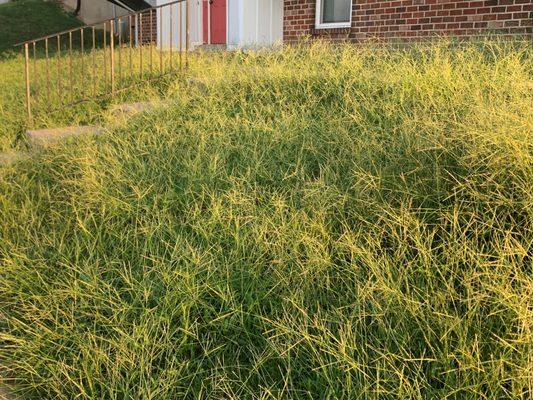 Chateau-Du-Mont Townhouse