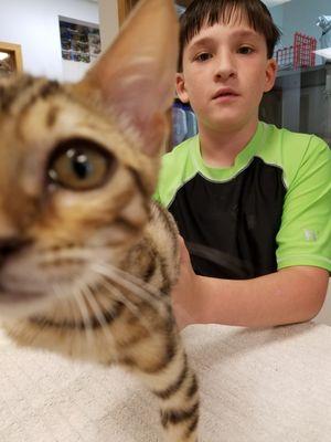 Farmington Veterinary Clinic