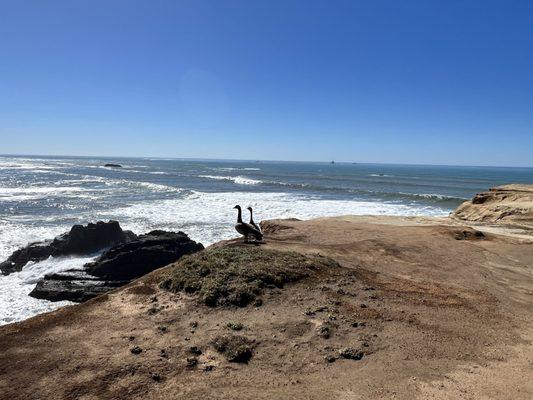 Otter Point State Park - the only other visitors while we were there