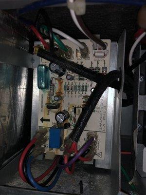 Nuri Creature Comforts